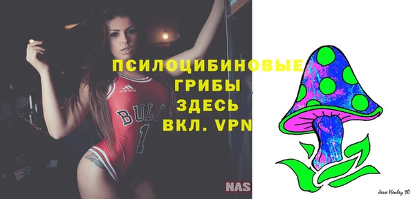 ПСИЛОЦИБИНОВЫЕ ГРИБЫ Белоозёрский