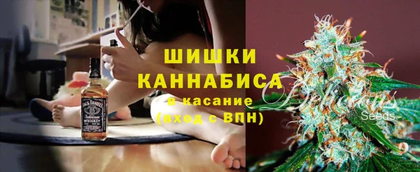прущие крисы Белокуриха