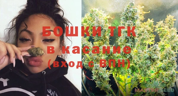 прущие крисы Белокуриха