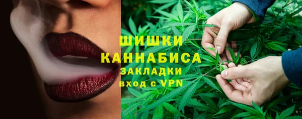 ПСИЛОЦИБИНОВЫЕ ГРИБЫ Белоозёрский
