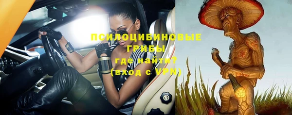 ПСИЛОЦИБИНОВЫЕ ГРИБЫ Белоозёрский