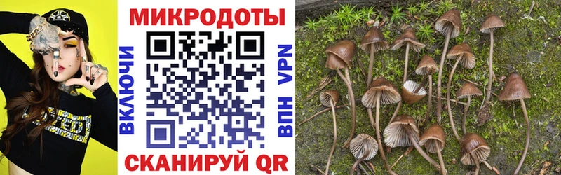 ссылка на мегу вход  Ермолино  Псилоцибиновые грибы ЛСД 